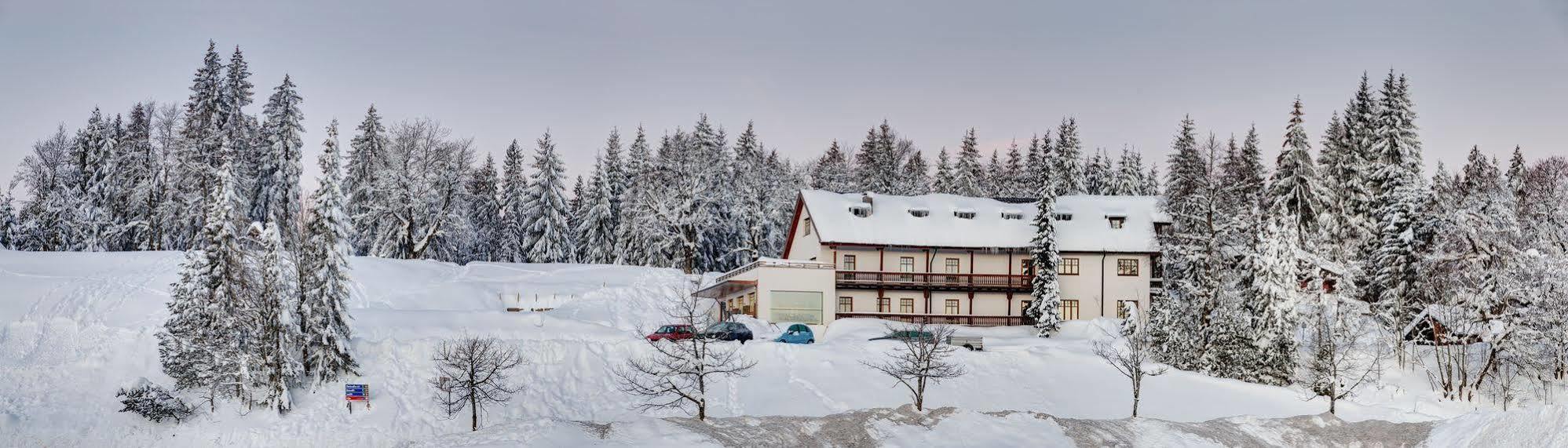 Boedele Alpenhotel Schwarzenberg im Bregenzerwald Esterno foto