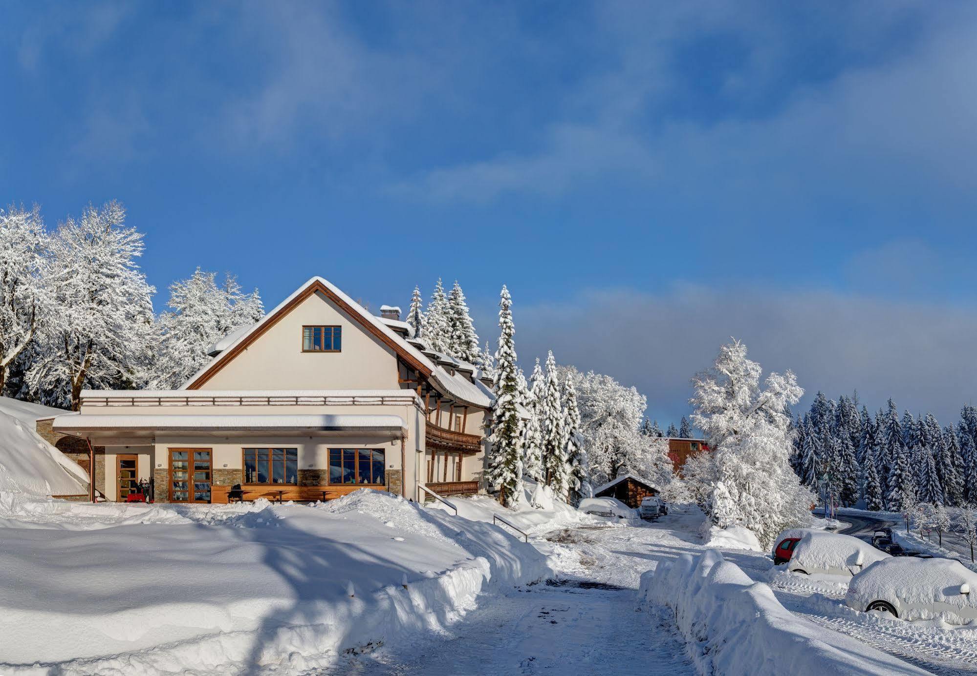 Boedele Alpenhotel Schwarzenberg im Bregenzerwald Esterno foto